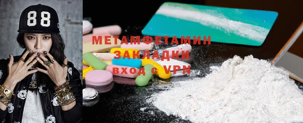 индика Осинники